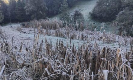 Zalayeta registra -4 grados la mañana de este jueves, la más baja de la temporada en Veracruz