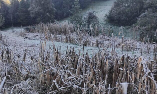 Zalayeta registra -4 grados la mañana de este jueves, la más baja de la temporada en Veracruz