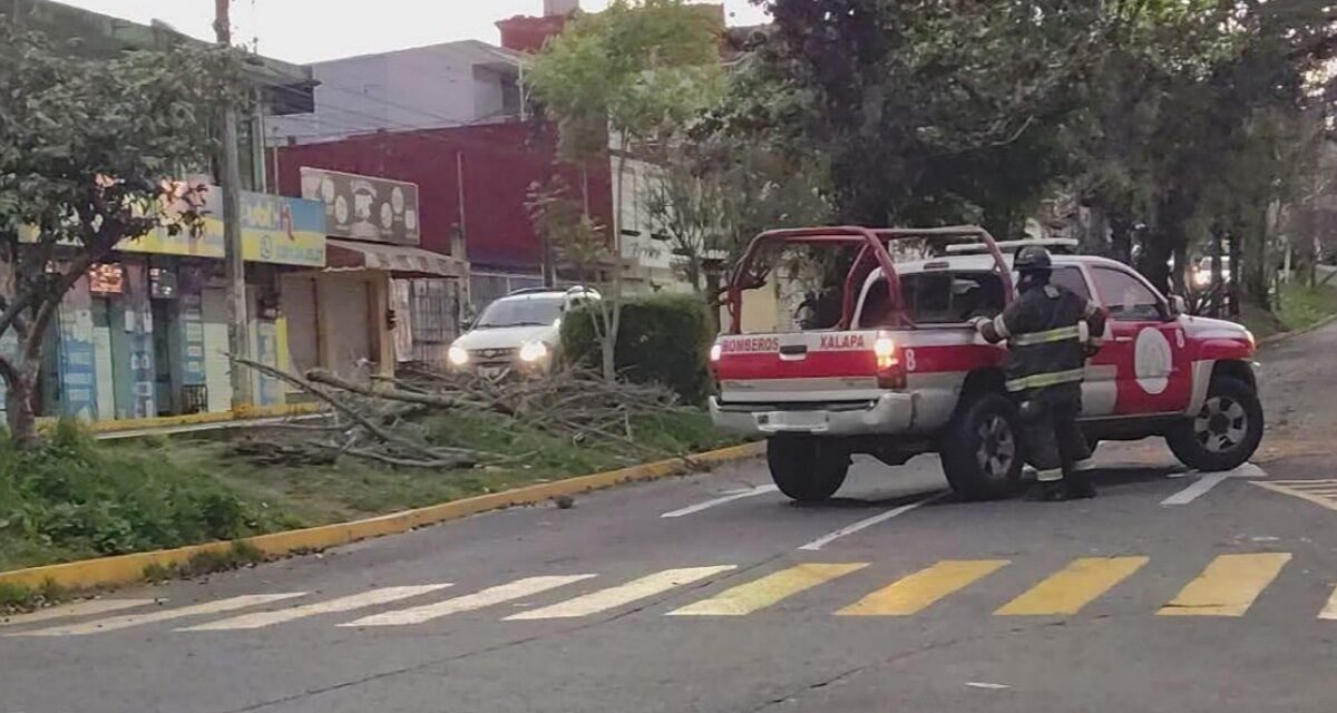 Sin afectaciones importantes por norte del Frente Frío 28: PC