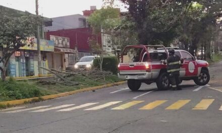Sin afectaciones importantes por norte del Frente Frío 28: PC