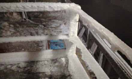 Se registra Cencellada en el Cofre de Perote la mañana de este lunes