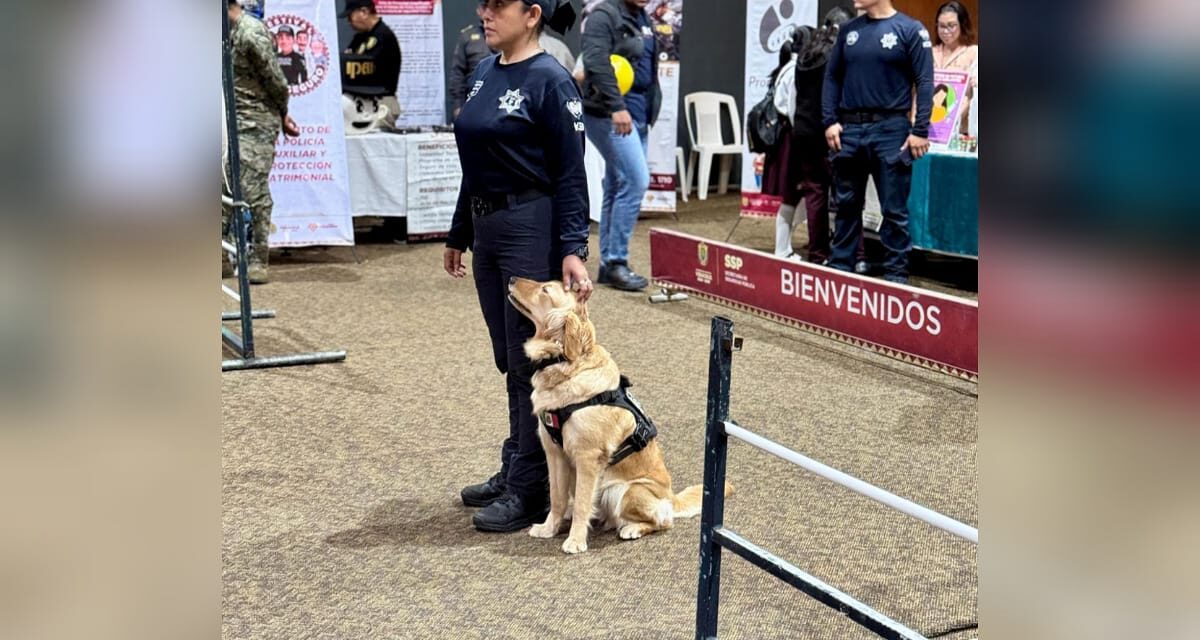 Ayuntamiento de Coatzacoalcos y Gobierno Estatal realizan el “Festival Vive Seguro”