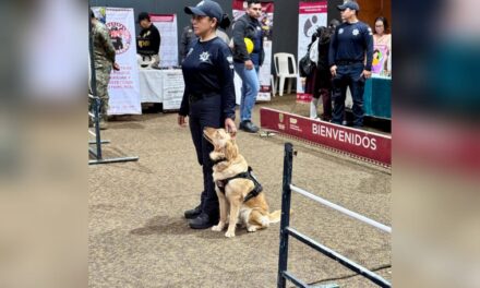 Ayuntamiento de Coatzacoalcos y Gobierno Estatal realizan el “Festival Vive Seguro”