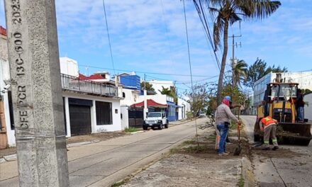 Cambia Coatzacoalcos de rostro con limpieza en distintos puntos de la ciudad