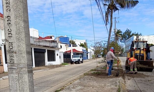 Cambia Coatzacoalcos de rostro con limpieza en distintos puntos de la ciudad
