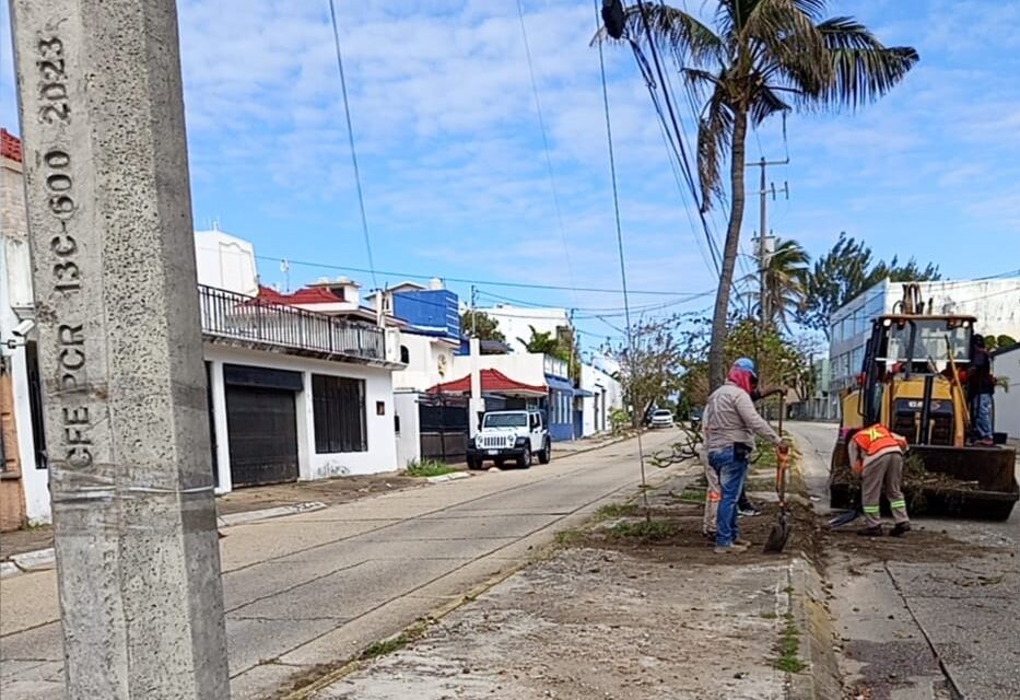 Cambia Coatzacoalcos de rostro con limpieza en distintos puntos de la ciudad