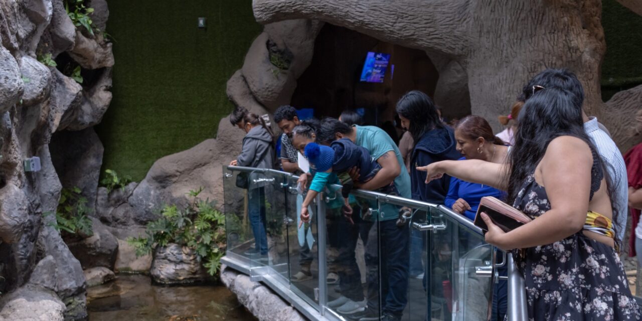 Por Carnaval, tendrá Aquarium horario especial del 14 al 17 de febrero