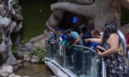 Por Carnaval, tendrá Aquarium horario especial del 14 al 17 de febrero