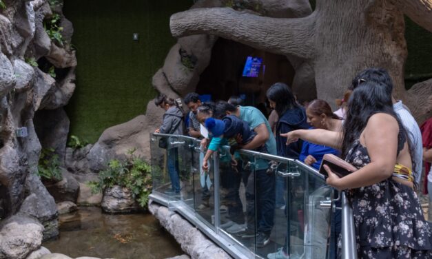 Por Carnaval, tendrá Aquarium horario especial del 14 al 17 de febrero