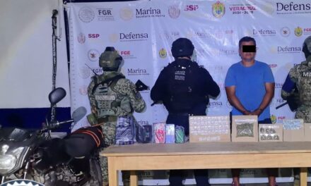 Decomisa SSP más de 300 dosis de estupefacientes y aprehende a 46 personas