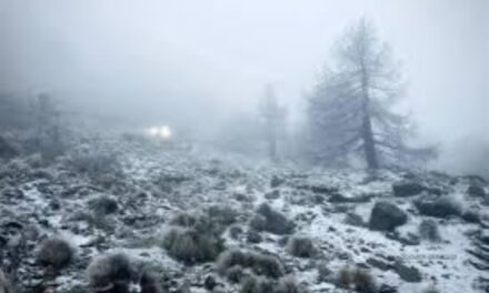 Registra Perote -9 grados en las primeras horas de la madrugada, reporta CONAGUA