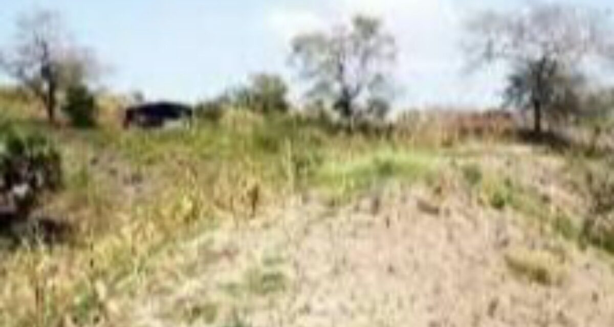 Registra Veracruz dos municipios anormalmente secos en el sur del estado