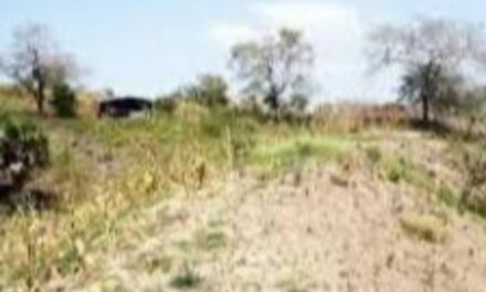 Registra Veracruz dos municipios anormalmente secos en el sur del estado