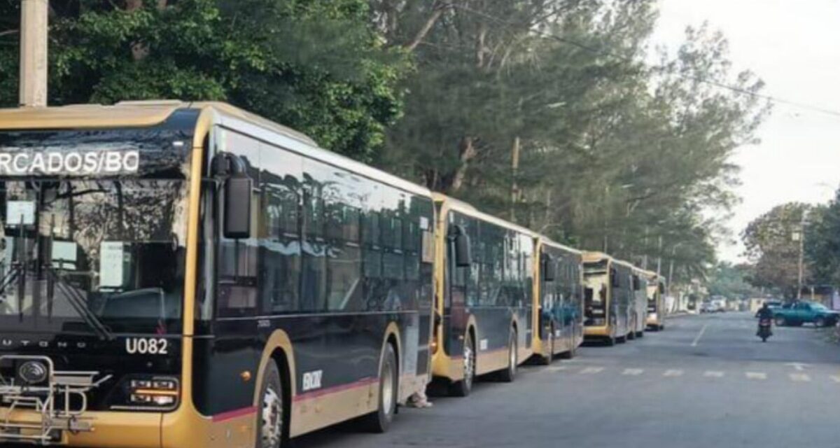 Autobuses ‘Ulúa’ podrían cobrar con tarjeta a partir de marzo