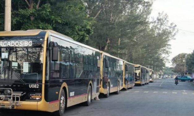 Autobuses ‘Ulúa’ podrían cobrar con tarjeta a partir de marzo