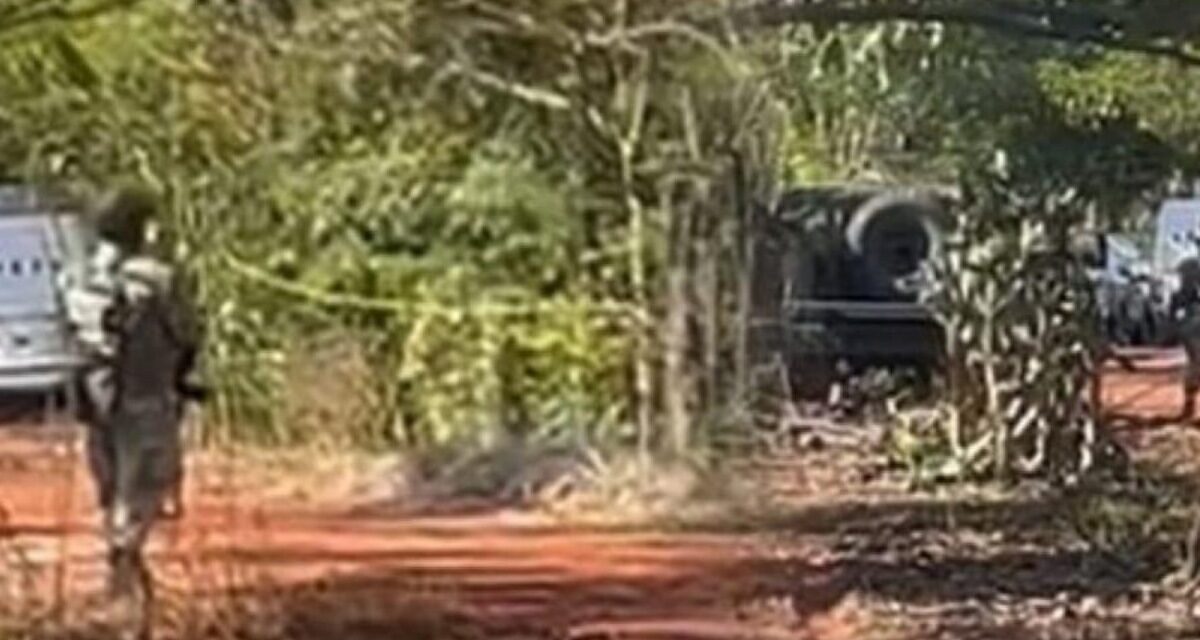 Identifican algunos cuerpos hallados en fosas clandestinas de Jáltipan, estado brinda apoyo a familias de desaparecidos