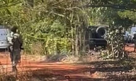 Identifican algunos cuerpos hallados en fosas clandestinas de Jáltipan, estado brinda apoyo a familias de desaparecidos