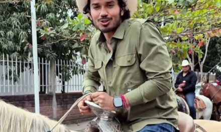 La incongruencia del Verde