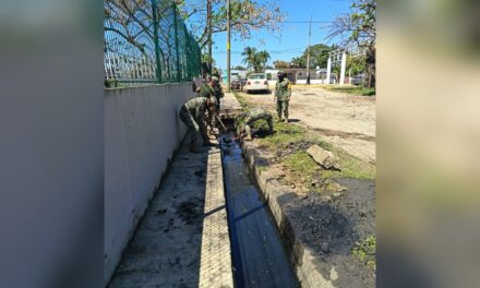 Participan 96 personas en Tequio impulsado por Pedro Miguel Rosaldo en la Nueva Obrera