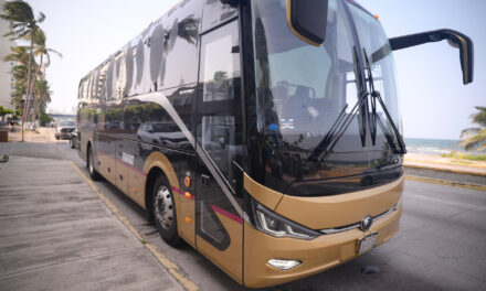 Servicio Ulúa gratuito y más de 2 mil elementos de seguridad en el Carnaval: Gobernadora