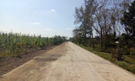 Nuevo camino artesanal en el estado de Veracruz