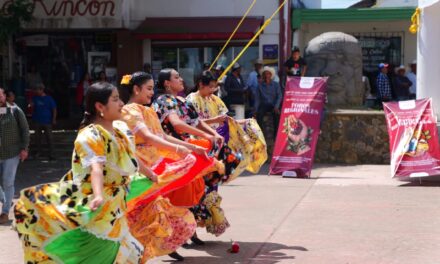Invita SECVER a los foros regionales Una mano al café veracruzano