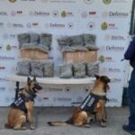 Operativos de la SSP: 29 detenidos y decomiso de cerca de 12 kilos y más de 230 dosis de estupefacientes