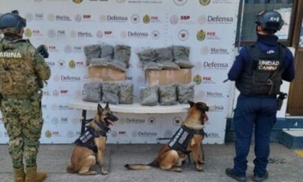 Operativos de la SSP: 29 detenidos y decomiso de cerca de 12 kilos y más de 230 dosis de estupefacientes