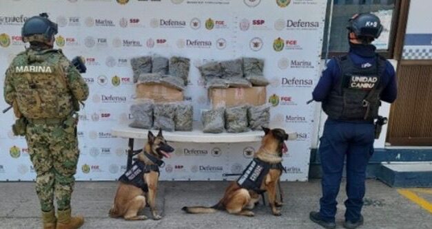 Operativos de la SSP: 29 detenidos y decomiso de cerca de 12 kilos y más de 230 dosis de estupefacientes