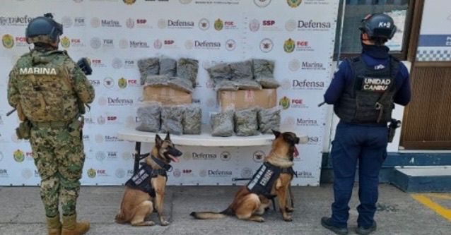 Operativos de la SSP: 29 detenidos y decomiso de cerca de 12 kilos y más de 230 dosis de estupefacientes