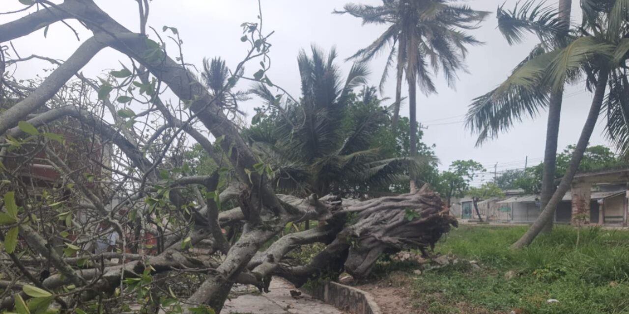 Activa Gobierno de Coatzacoalcos operativo por Frente Frío 41 y atiende reportes