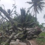 Activa Gobierno de Coatzacoalcos operativo por Frente Frío 41 y atiende reportes