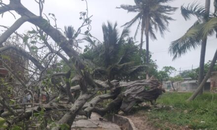 Activa Gobierno de Coatzacoalcos operativo por Frente Frío 41 y atiende reportes