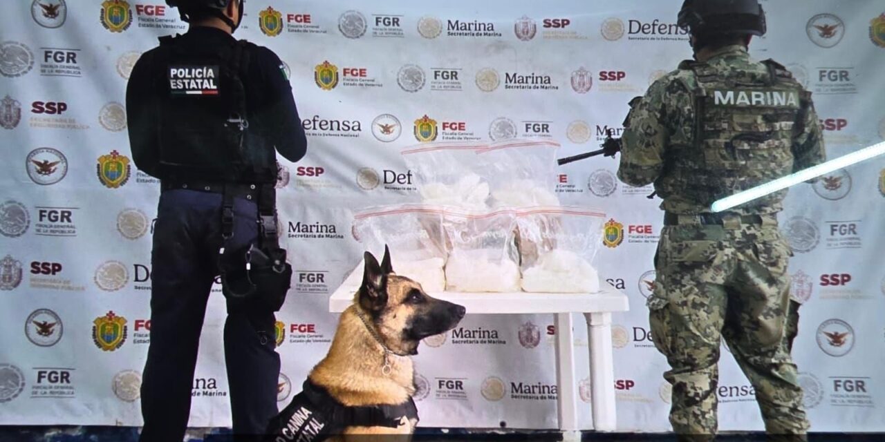 SSP detiene a 49 personas y decomisa 342 dosis de droga en 40 municipios