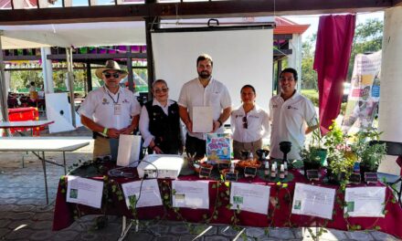 Salud acerca prevención y orientación a visitantes de Cumbre Tajín
