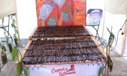 Arte que resguarda la memoria: identidad y luz en Cumbre Tajín