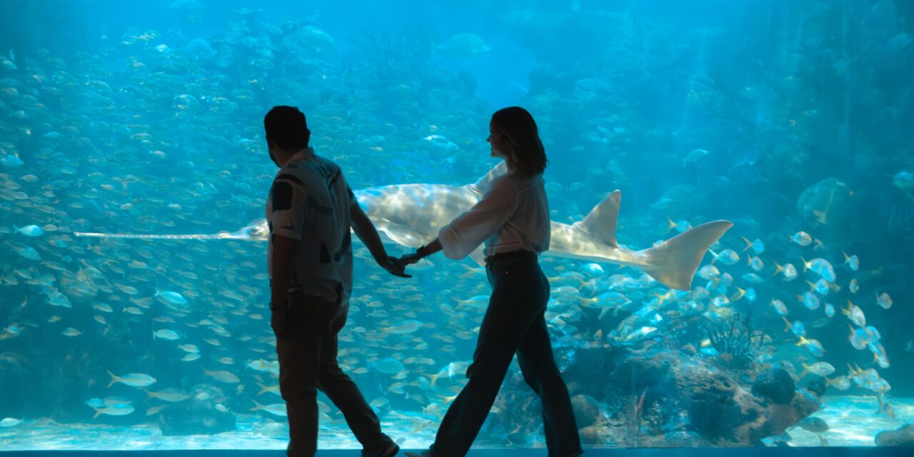 Invita Aquarium a disfrutar una experiencia única en Semana Santa