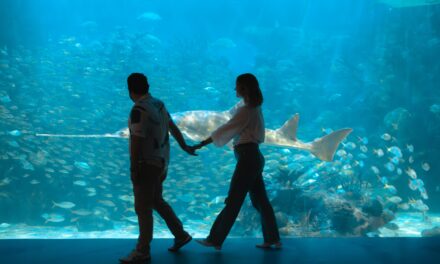 Invita Aquarium a disfrutar una experiencia única en Semana Santa