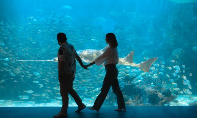 Invita Aquarium a disfrutar una experiencia única en Semana Santa