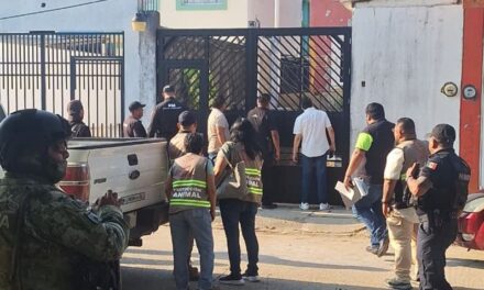 Ocho vidas fueron rescatadas en el primer cateo por maltrato animal en Coatzacoalcos