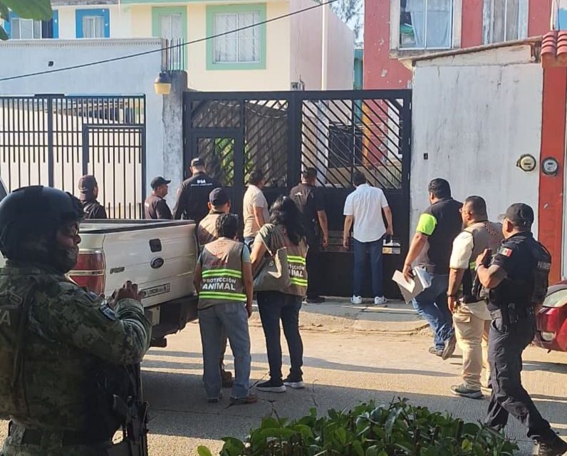 Ocho vidas fueron rescatadas en el primer cateo por maltrato animal en Coatzacoalcos