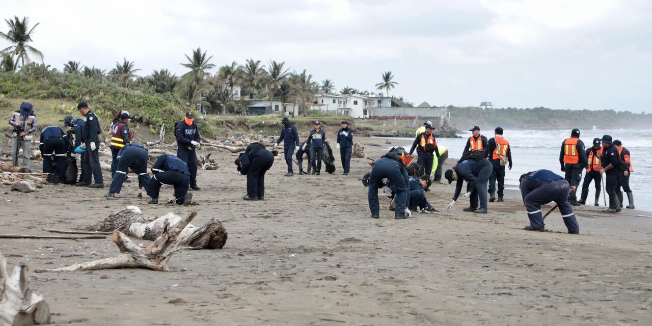 Playas de Alvarado en buen estado; llaman a evitar desinformación