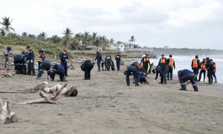 Playas de Alvarado en buen estado; llaman a evitar desinformación