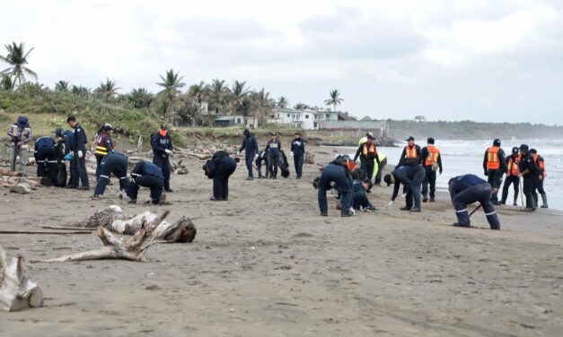 Playas de Alvarado en buen estado; llaman a evitar desinformación