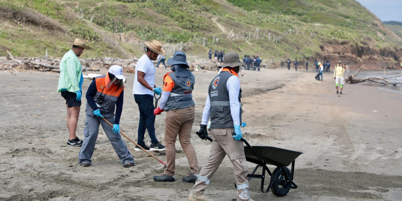 Atienden 3.5 kilómetros de litoral en Alvarado con brigadas de saneamiento
