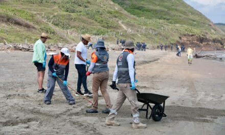 Atienden 3.5 kilómetros de litoral en Alvarado con brigadas de saneamiento