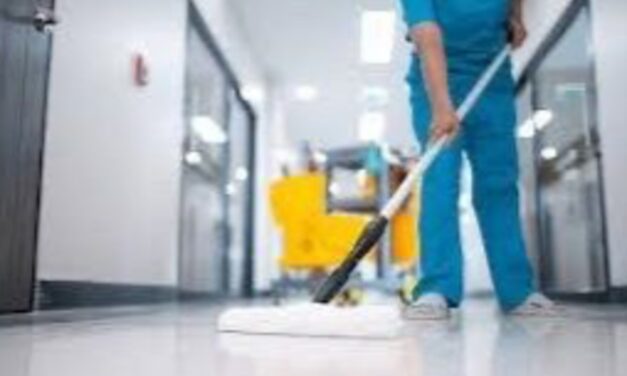 ‘LimpiaVer’ iniciará actividades el primero de abril, adelantó la gobernadora Rocío Nahle