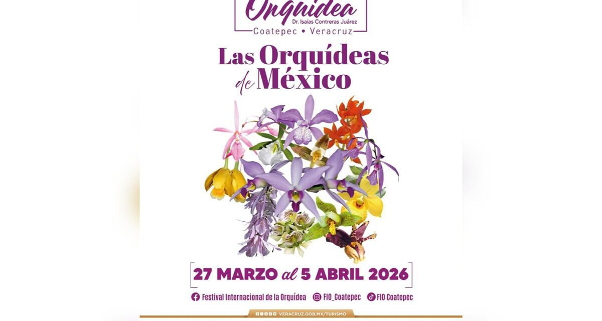Coatepec celebra su riqueza natural con el XVII Festival Internacional de la Orquídea
