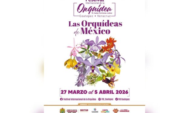 Coatepec celebra su riqueza natural con el XVII Festival Internacional de la Orquídea