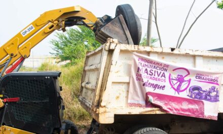 Arranca en Coatzacoalcos Programa de Eliminación Masiva de Criaderos del Dengue